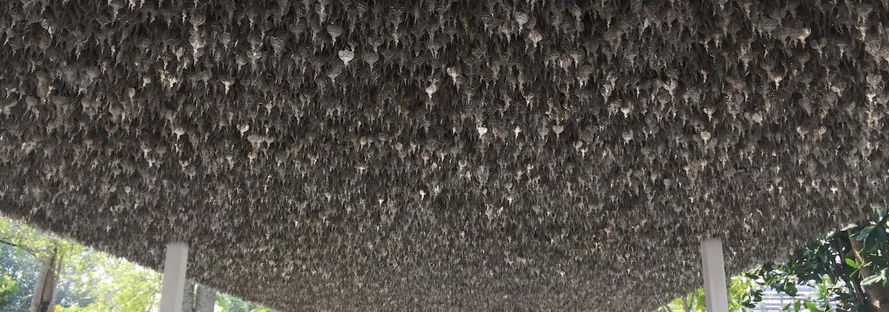 Ut autem molestiae autem cum reiciendis consectetur eum.